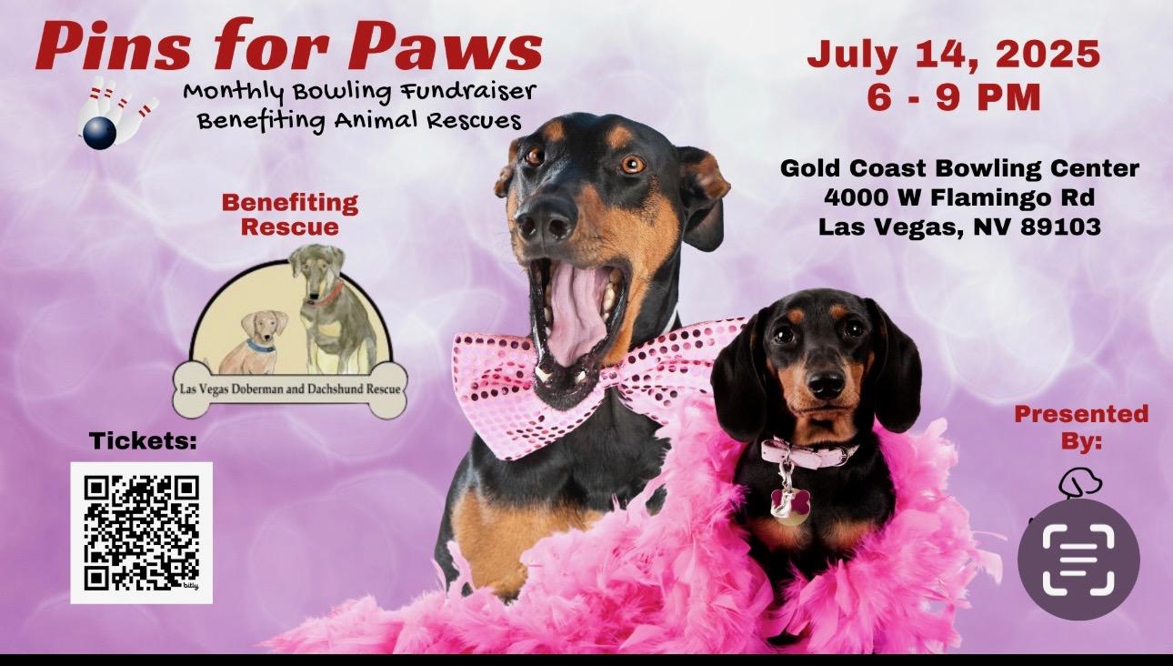 Pins for Paws